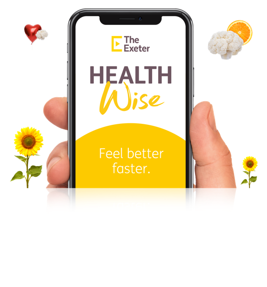 <p><img src="/assets/img/logo-health-wise.png" alt="Healthwise"></p>